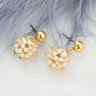 Picture of Famous Casual Classic Dangle Earrings